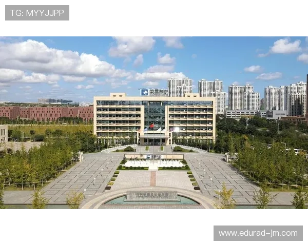 分析K8凯发集团的财务表现与未来增长潜力